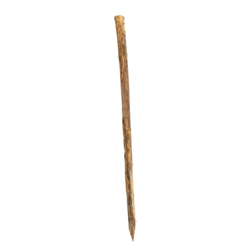 Robinia 400 cm  lang